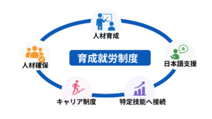 2｜「育成就労制度」とは何か